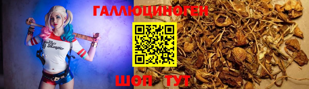 Псилоцибиновые грибы MAGIC MUSHROOMS  Вход с VPN  Псилоцибиновые грибы Cubensis  Карачаевск 